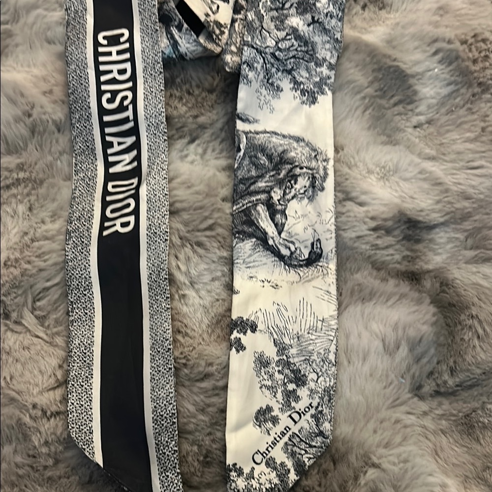 Dior blue and white skinny scarf